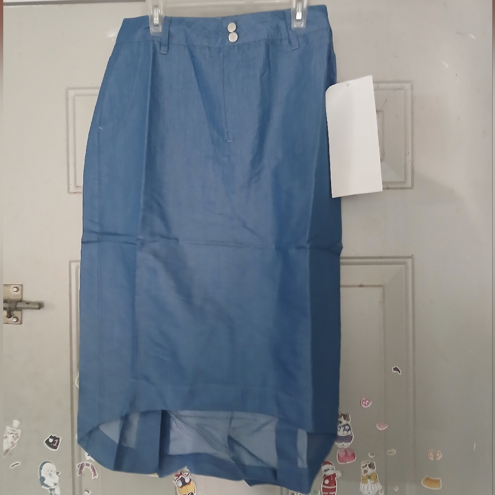 Ashro Blue A-Line Skirt (0274)